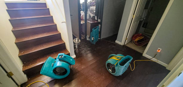 Best Fire Damage Restoration  in Piedmont, OK
