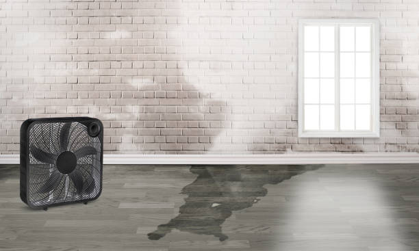 Best Ceiling water damage repair  in Piedmont, OK